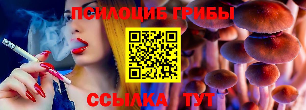 Псилоцибиновые грибы мухоморы Карачаевск